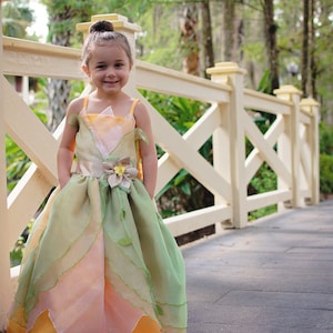 Tiana Dress / Disney Princess Dress Princess and the frog Costume / Ball gown style for toddler, child, girl, baby Princess Costume