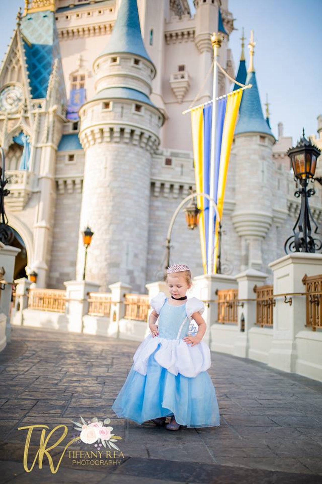 Cinderella Inspired Costume Ball Gown - Classic Princess Dress - Etsy