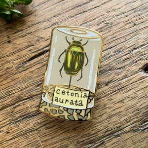 Spilla smaltata per entomologia con barattolo per campioni di coleotteri