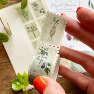 2er oder 3er Pack | Kräuterkunde Stempel Washi Tape | Zauberhaftes Kräuterkunde-Tape