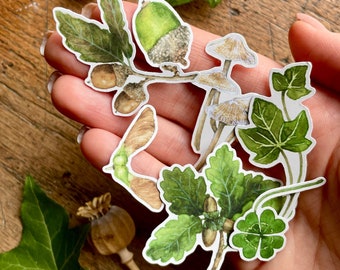 Woodland Nature Elements Matt Vinyl Sticker Set | Watercolour Nature Illustration