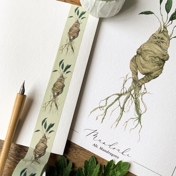 Pack of 2 or 3 | Mandrake Washi Tape | Magical Herbology Tape