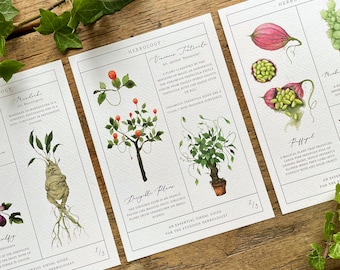 Herbology Chart A4 Print Set