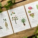 see more listings in the Herbology Prints section