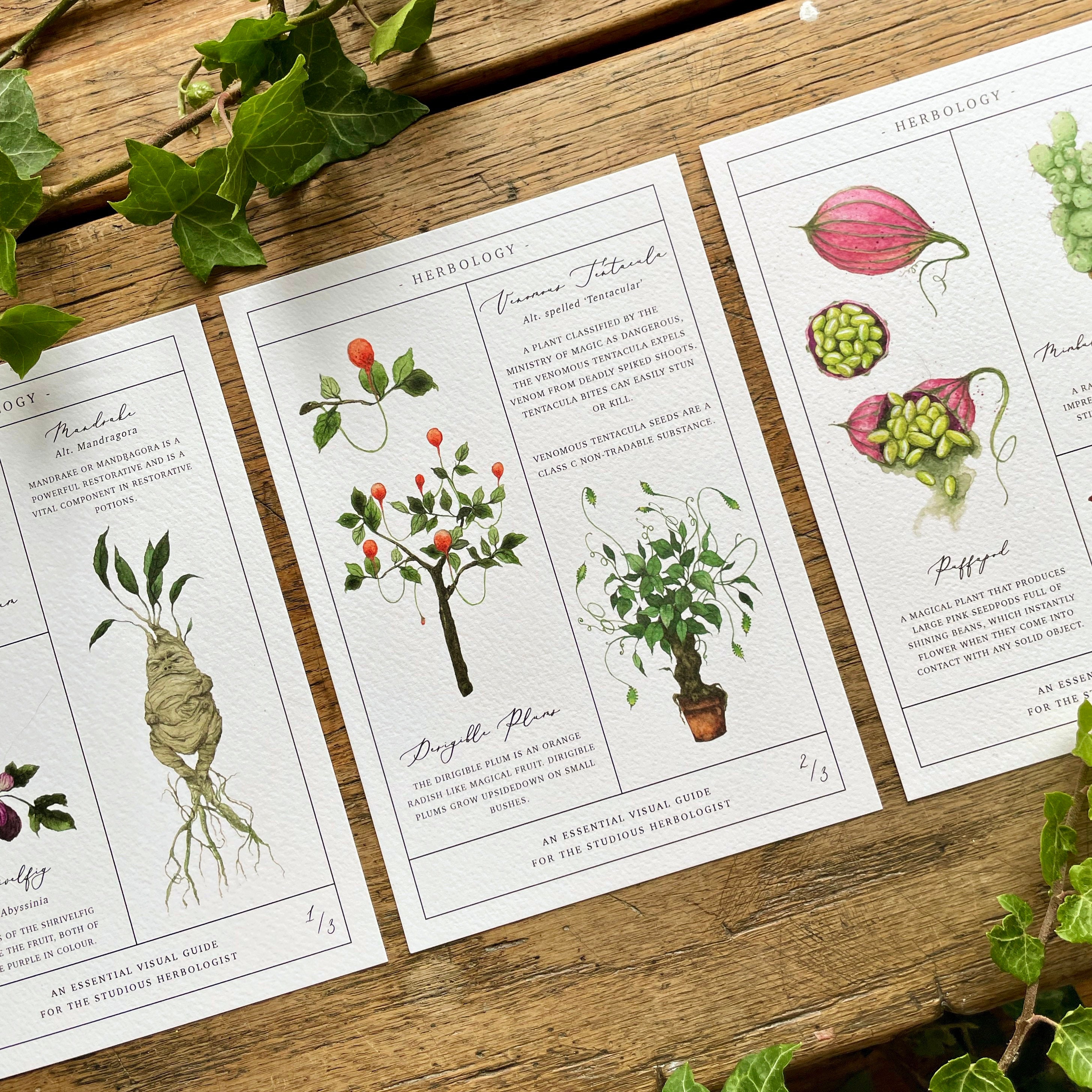 Herbology Chart A4 Print Set Etsy