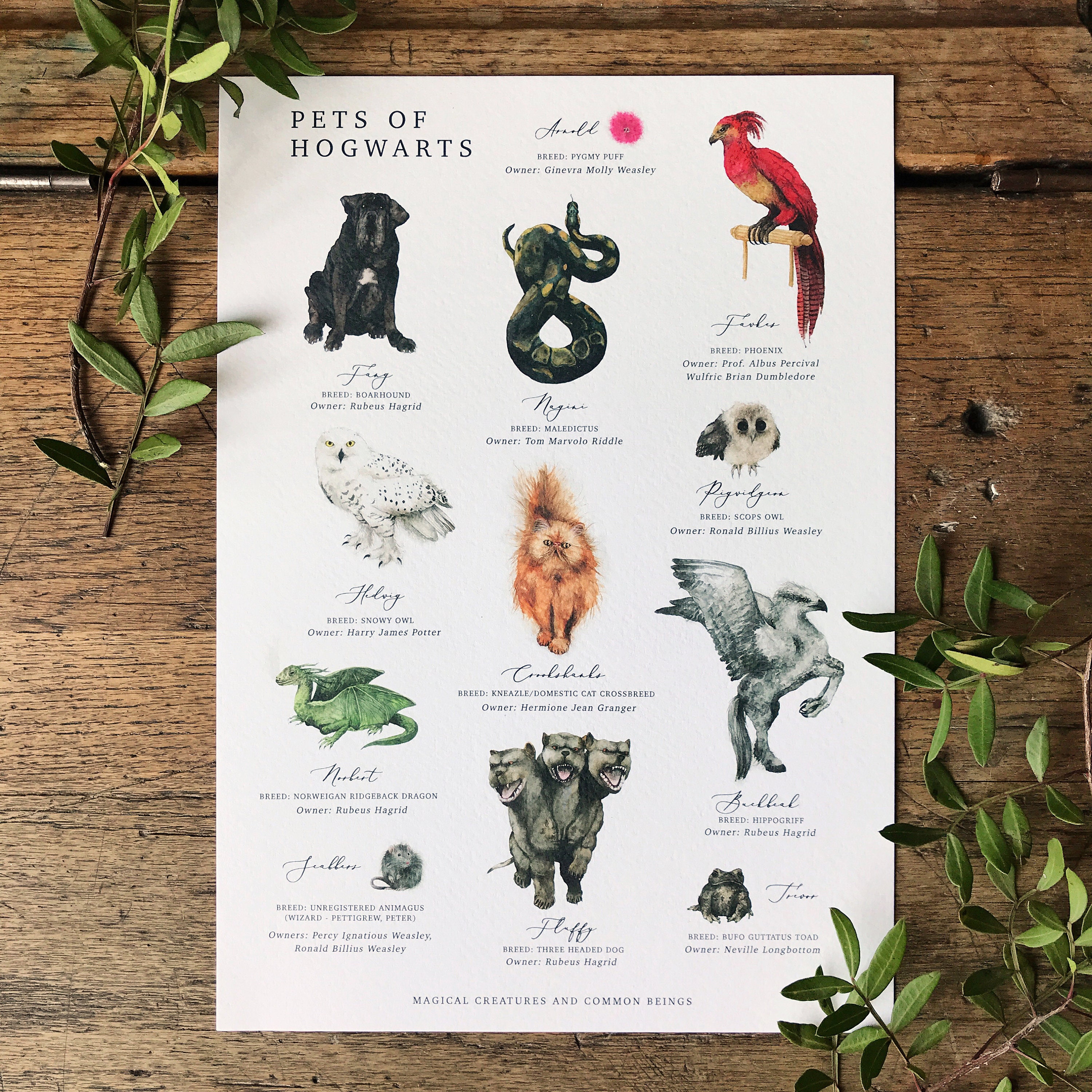 Pets of Hogwarts A4 Print Etsy