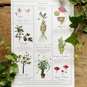 Herbology Chart A4 Print