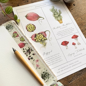 Herbology-washitape | Tape magische planten