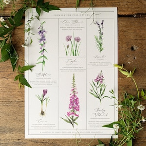 Bloemen voor bestuivers grafiek A3 afdrukken