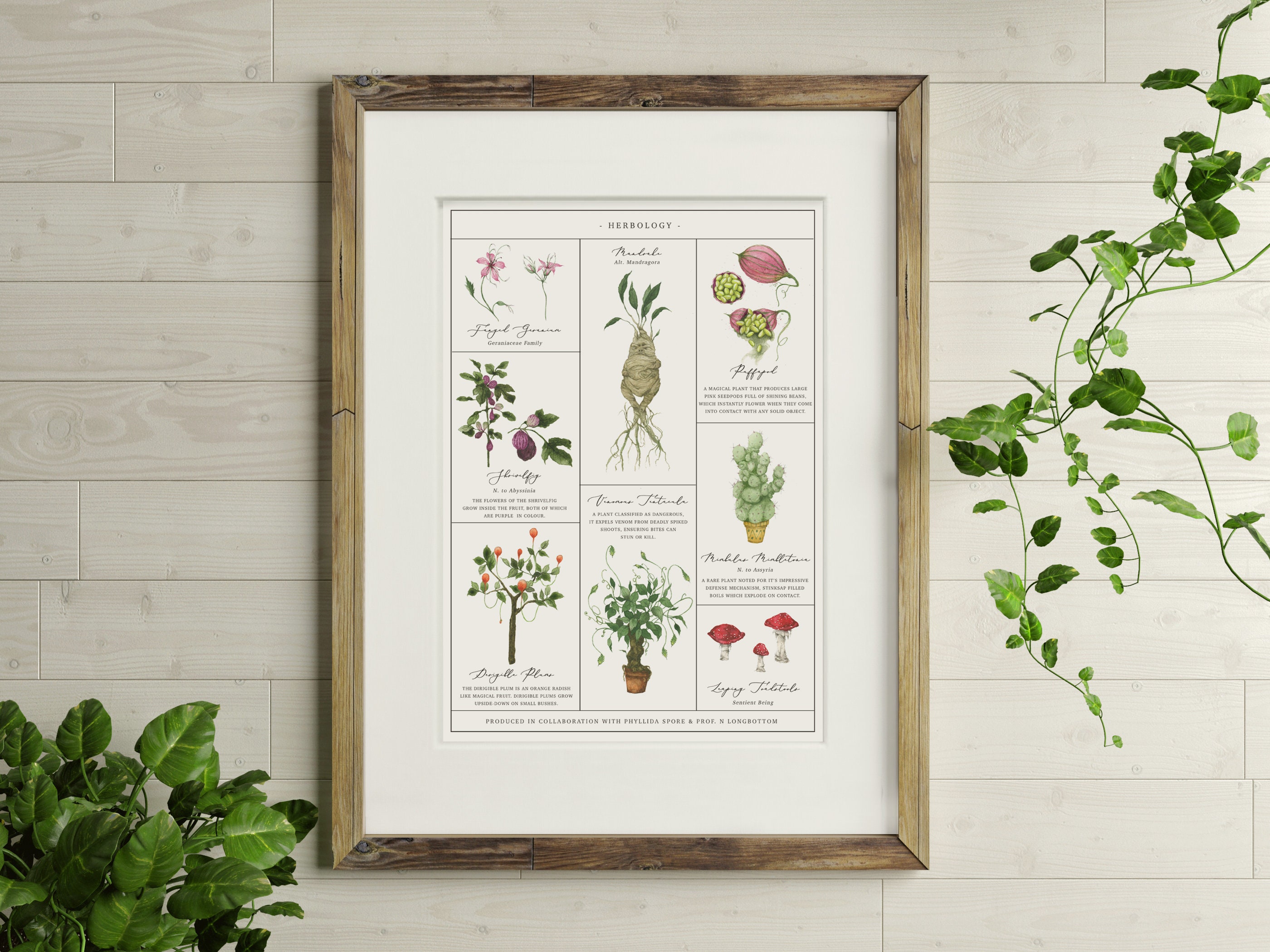 Herbology Chart A4 Print - Etsy