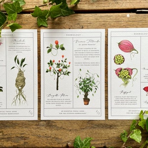 Herbology Chart A3 Print Set - Etsy