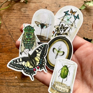 May include: A set of six insect stickers featuring a green cicada, a black and yellow swallowtail butterfly, a green beetle, and three butterflies in a glass dome. The stickers are printed on white paper and have a vintage aesthetic.