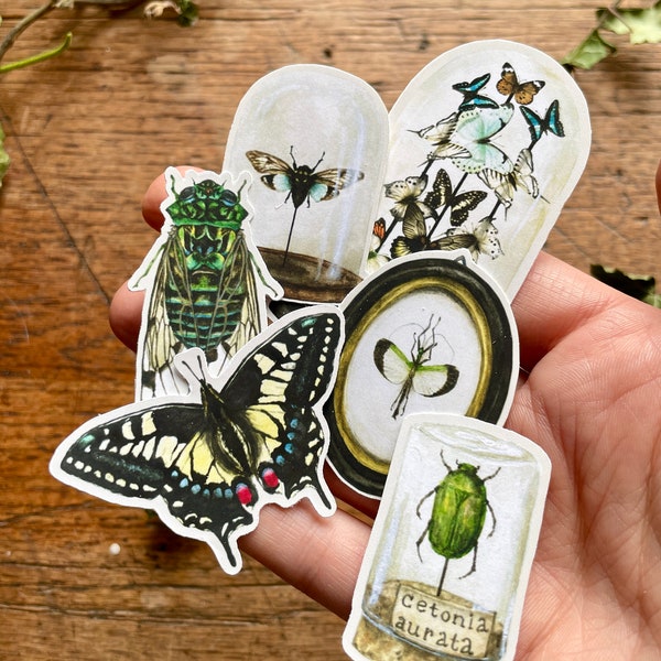 Entomology Matt Vinyl Sticker Set | Curious Nature Oddities Art