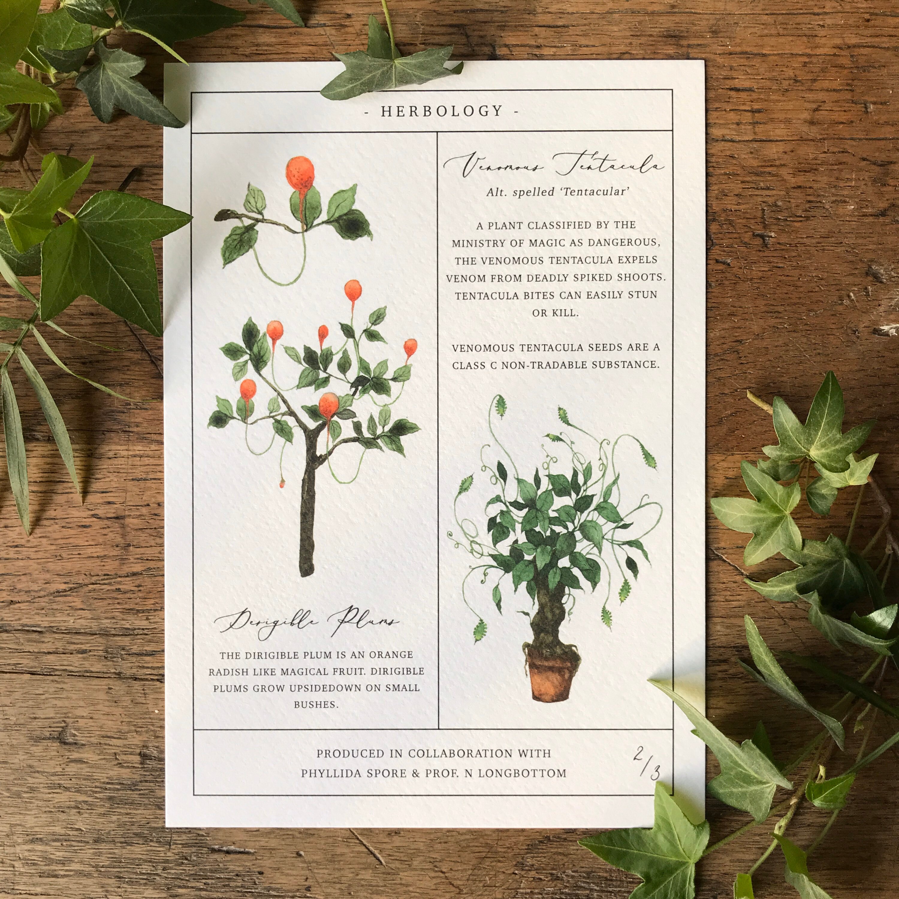 Herbology Chart Print Set — Georgiou Draws
