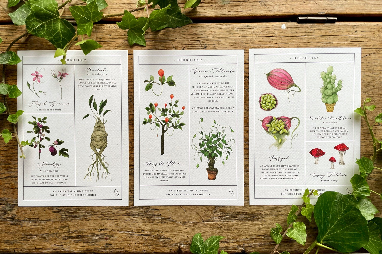 Herbology Chart A4 Print Set - Etsy