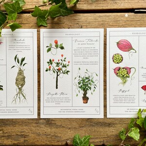 Herbology Chart A4 Print Set - Etsy