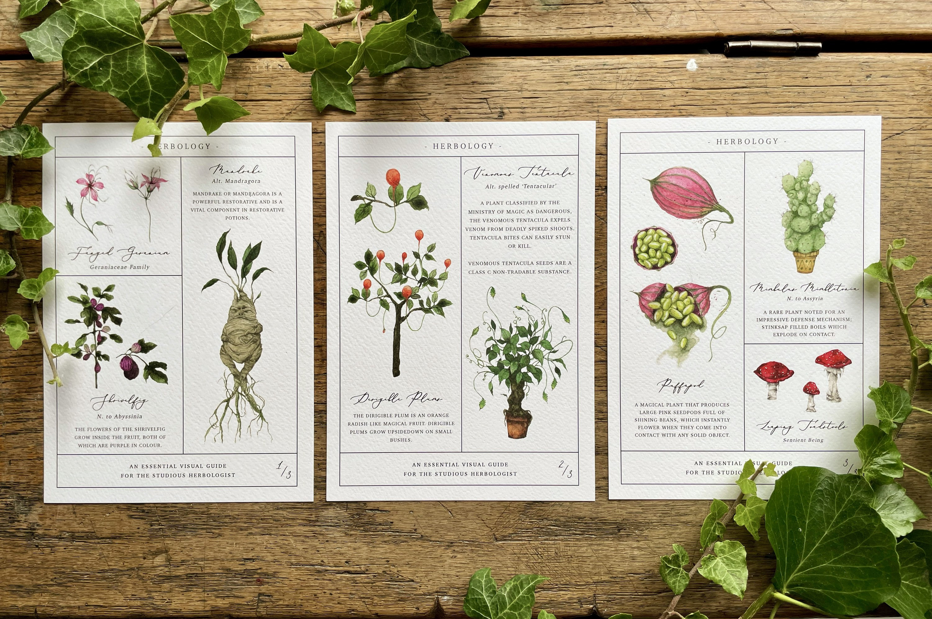 Herbology Chart A4 Print Set - Etsy