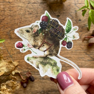 La pegatina de vinilo mate del cosechador / Ilustración caprichosa del bosque animal de la naturaleza