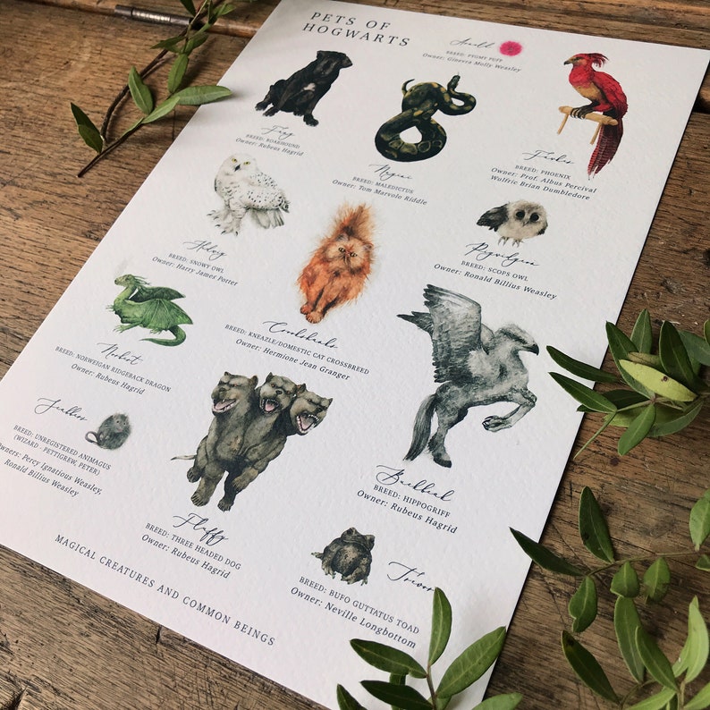 Harry Potter Pets of Hogwarts Chart A3 Print Etsy