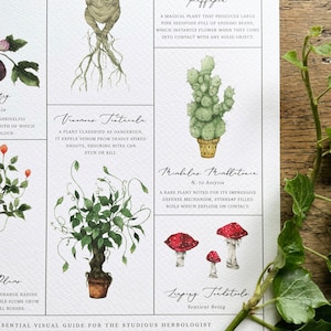 Herbology Chart A3 Print - Etsy