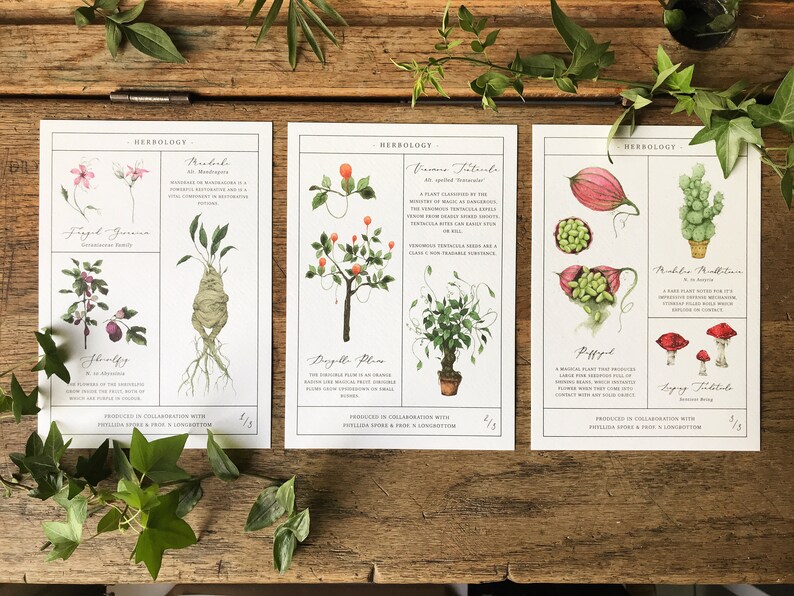 Herbology Chart A3 Print Set - Etsy