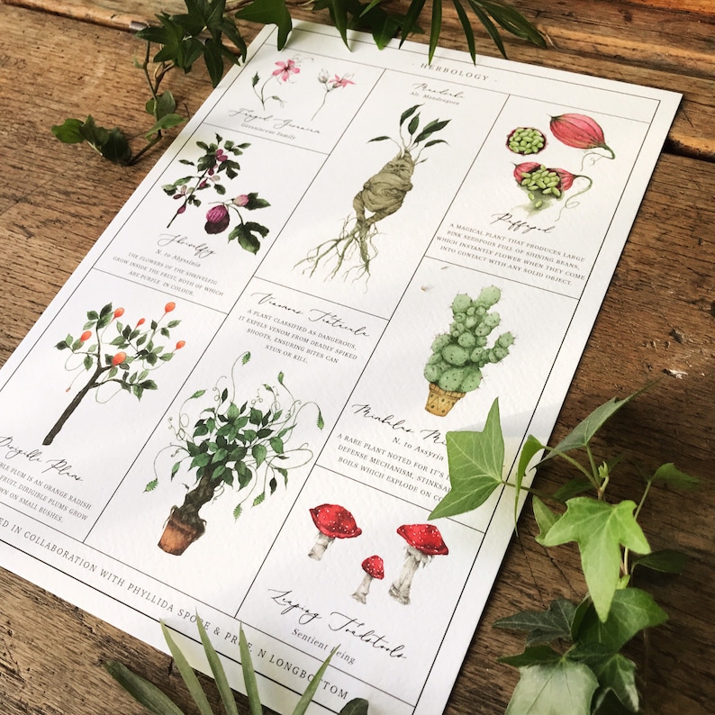 Herbology Chart A3 Print Art &amp; Collectibles Prints jan-takayama.com