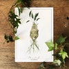Herbology Chart A5 Print Set Parts 1, 2 &amp; 3 - Etsy