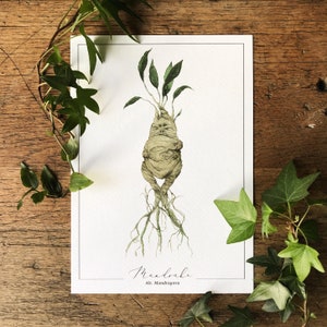Mandrake-afdruk A5 | Magische kruidengeneeskunde Illustratiekunst