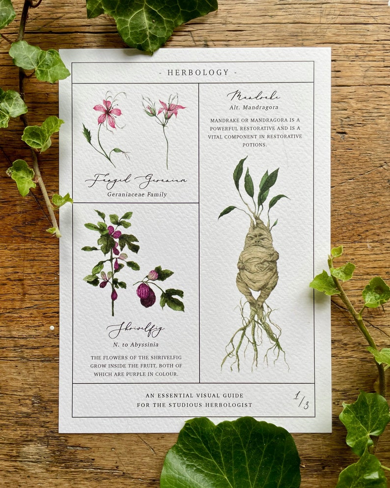 Herbology Chart A3 Print Set - Etsy