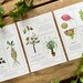 Herbology Chart A3 Print - Etsy
