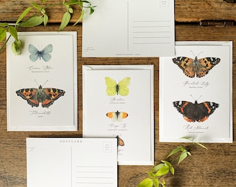 British Butterflies Entomology Postcard Series