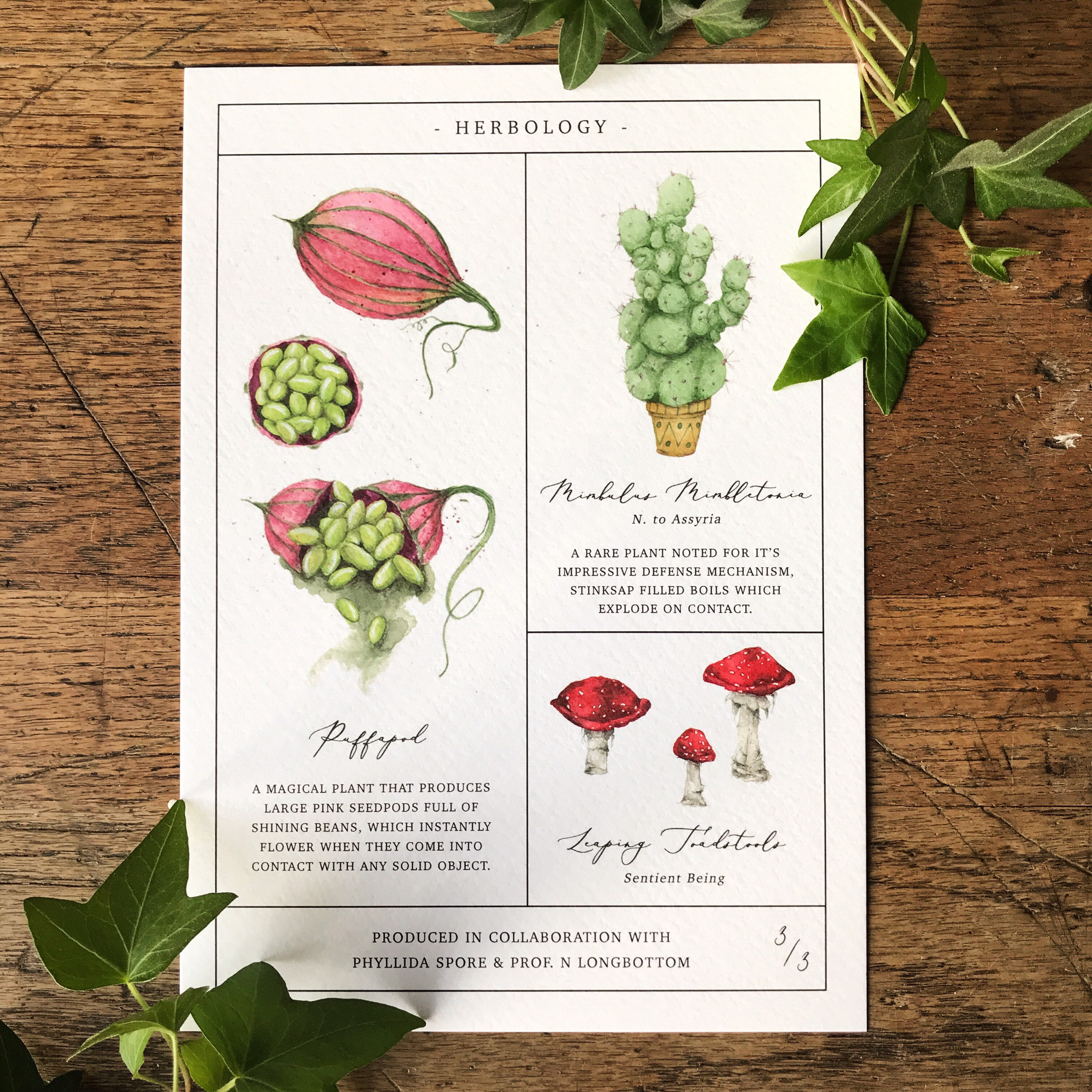 Herbology Chart A5 Print Set Parts 1 2 &amp; 3 | Etsy UK