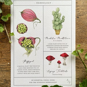 Herbology Chart A5 Print Set Parts 1, 2 & 3 image 5