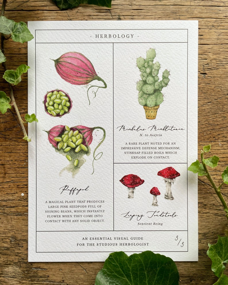 Herbology Chart A5 Print Set Parts 1, 2 & 3 image 5