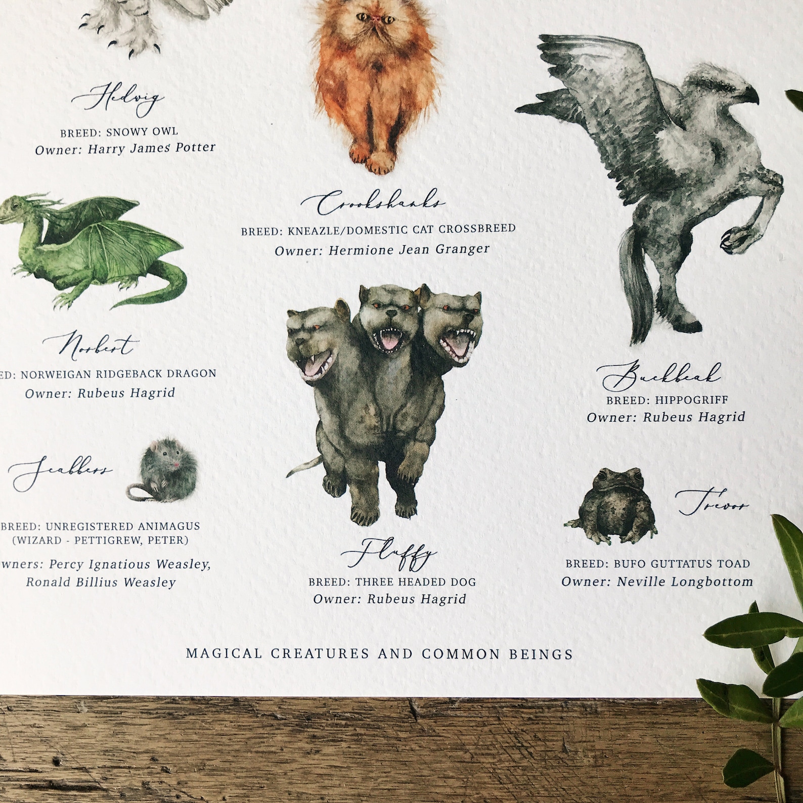 Pets of Hogwarts Chart A3 Print Etsy