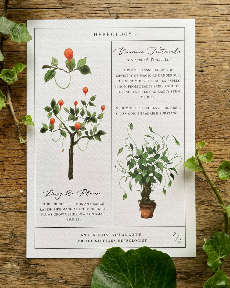 Herbology Chart A3 Print Set - Etsy