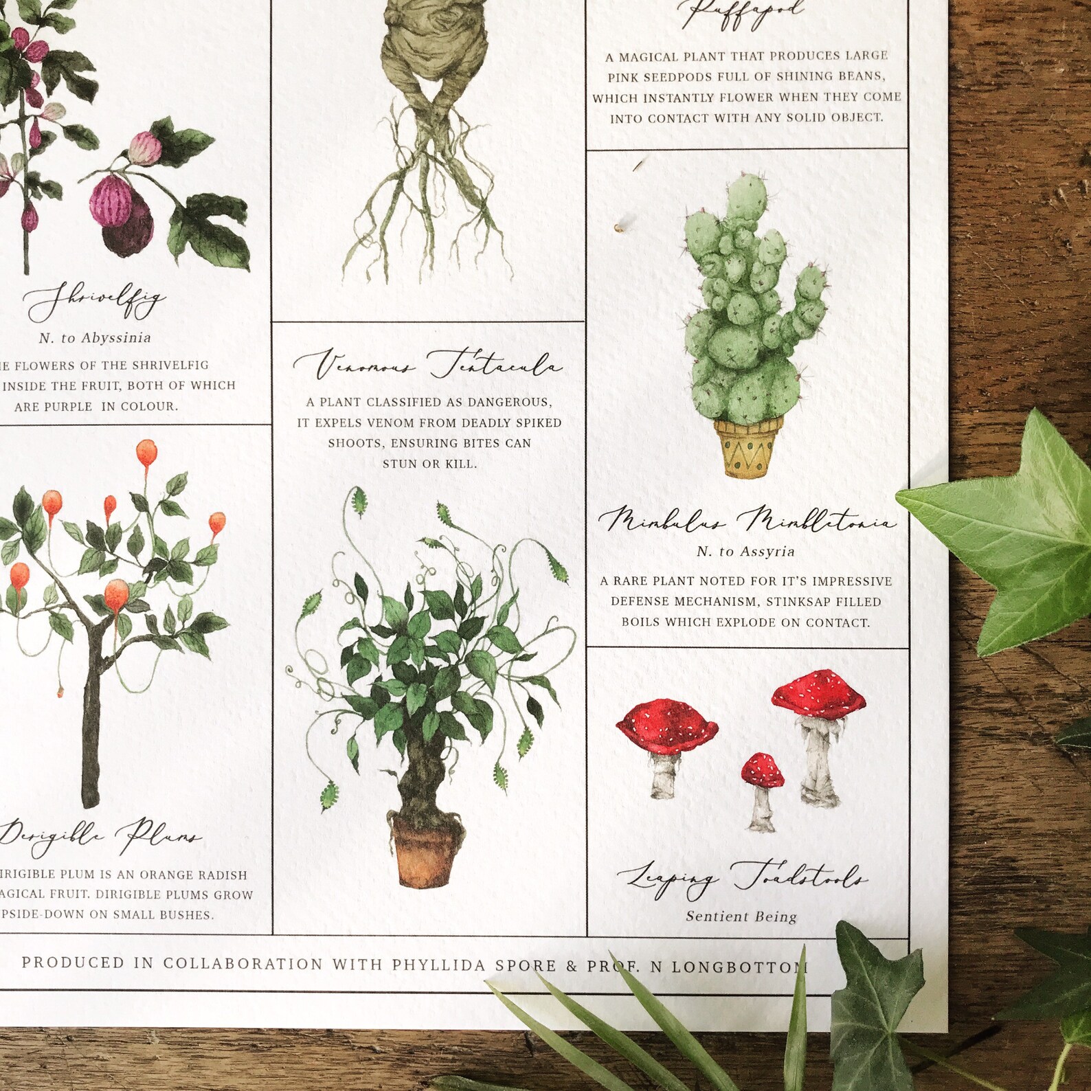 Herbology Chart A4 Print - Etsy