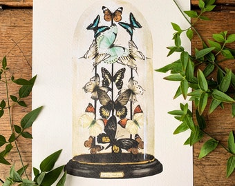 Antique Butterfly Dome A3 Art Print