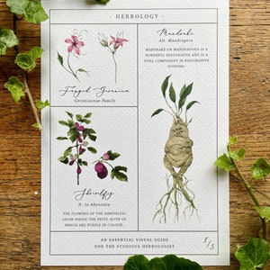 Herbology Chart A5 Print Set Parts 1, 2 & 3 image 4