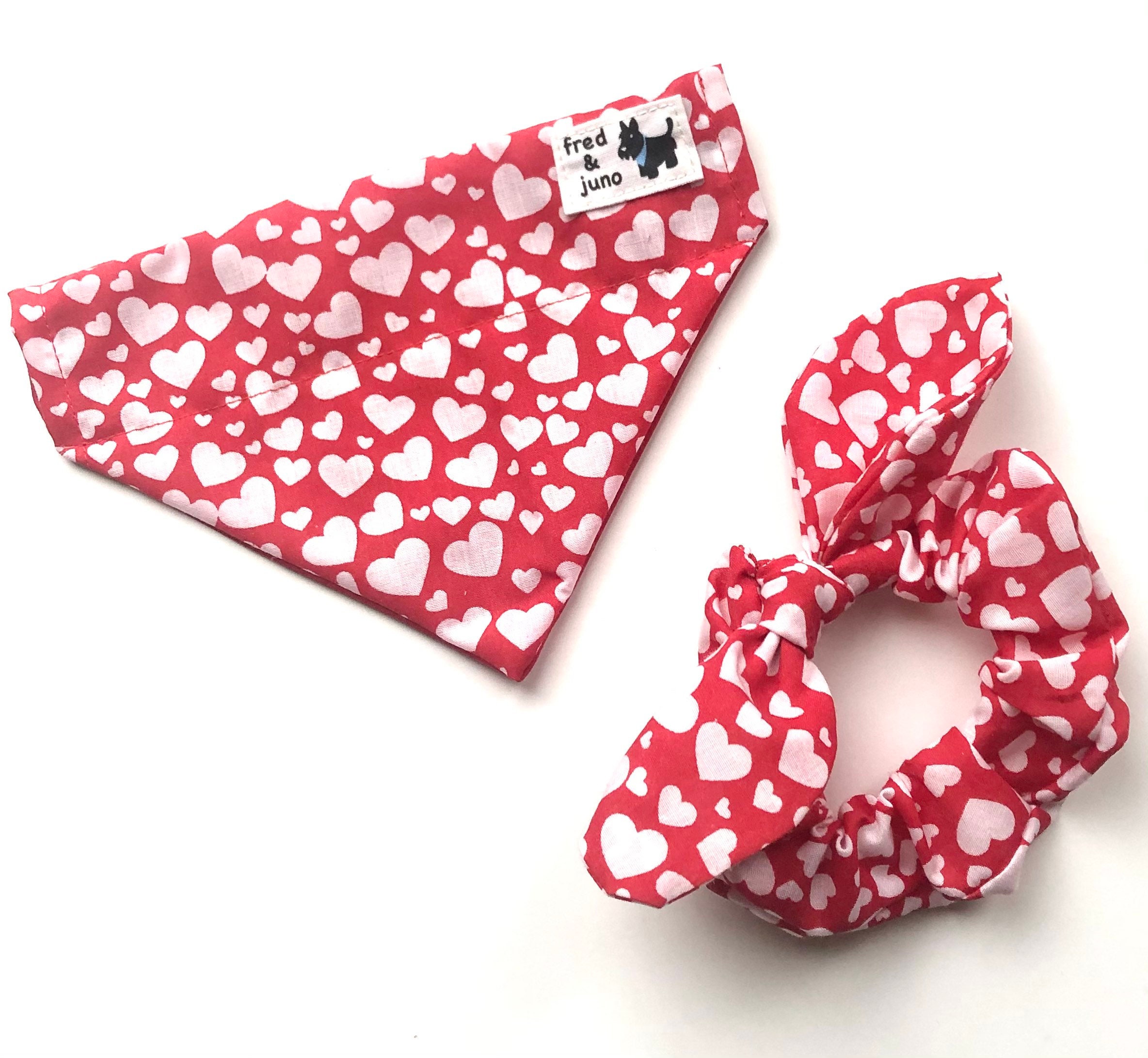 dog bandana and scrunchie set