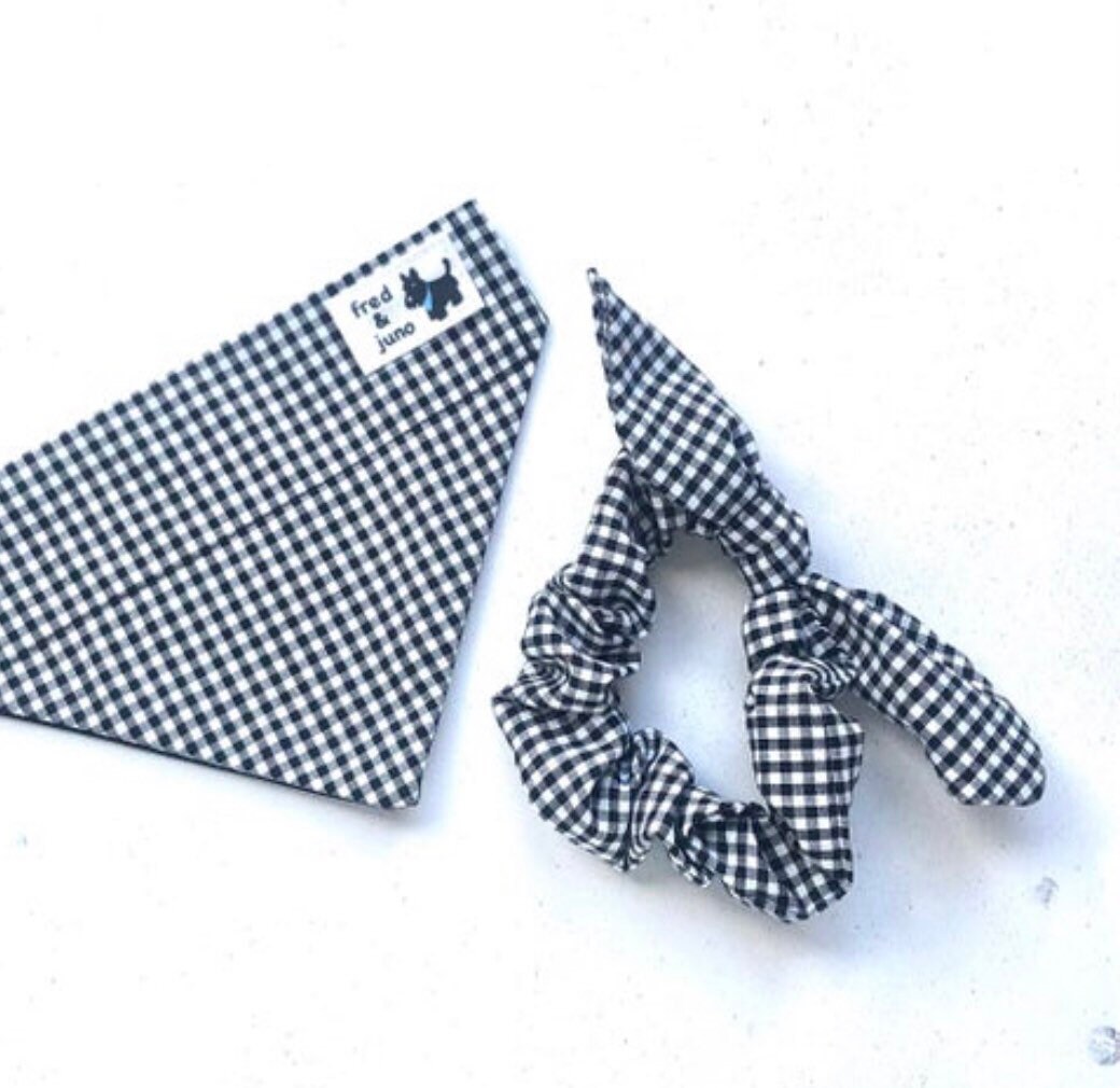dog bandana and scrunchie set