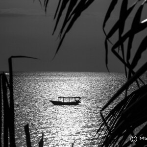 Zanzibar Africa at sunset, boat on water looking through the palms Black and White