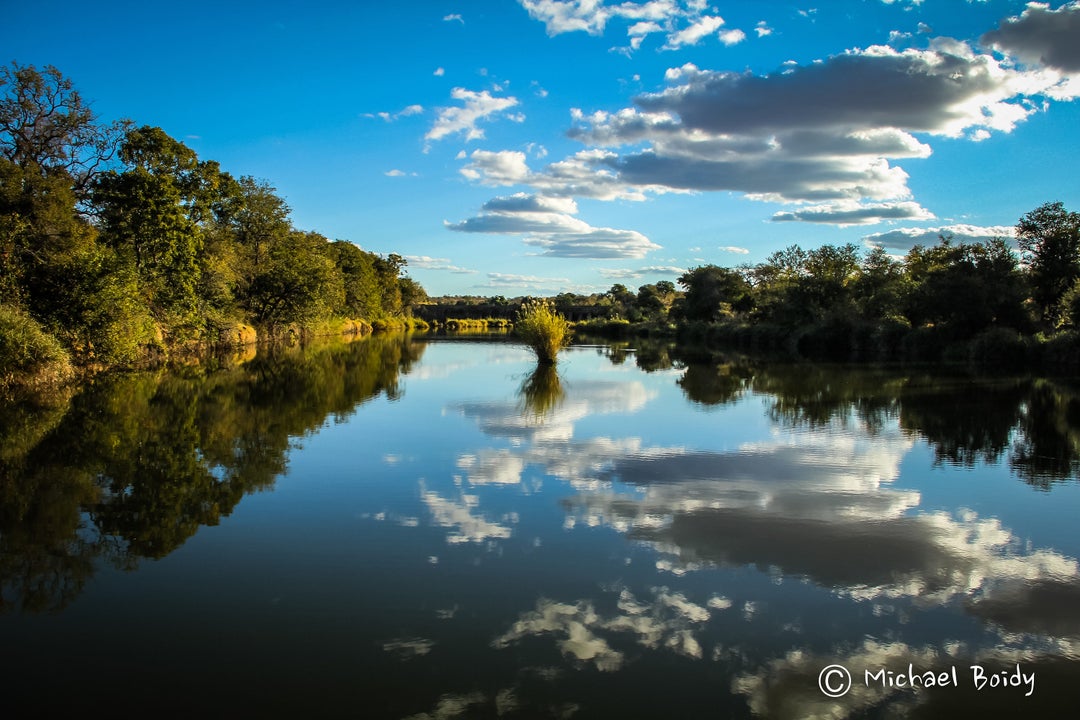 South Africa Natures Reflection Mirrors Itself Etsy