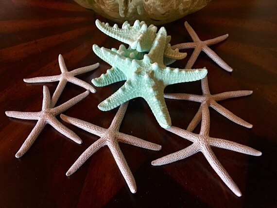 Teal Silver Starfish Sample Pack Wedding Decor 9 Pieces Etsy