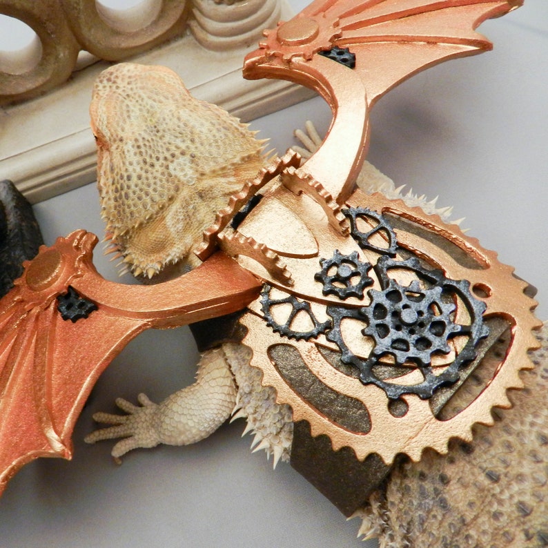 Dapper Dragon Wing Harness Bearded Dragon Size Etsy