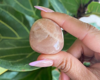 Peach Moonstone Tumbled Stone, Peach Moonstone Tumbles, Polished Peach Moonstone Tumble Crystal, Peach Moonstone Palmstone