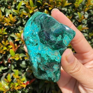 Polished Chrysocolla with Malachite, Malachite with Chrysocolla Palmstone