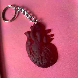 anatomical blood red heart keychain realistic human heart red oddities keychain