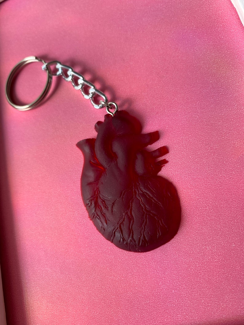Anatomical Heart Keychain, Realistic Blood Red Oddities - Etsy
