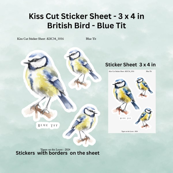 British Bird Stickers Kiss Cut Vinyl Sheet Birdwatching Planners Journals Laptops Notebooks Removable Indoor and Outdoor Use Blue  Tit